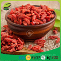 China best goji berries supplier with Kosher ISO Haccp FDA certificate